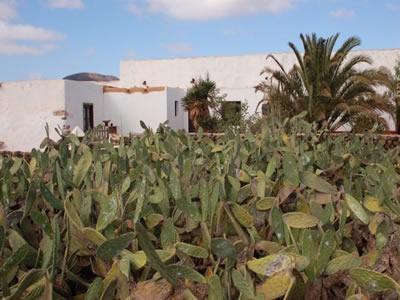 Gbh Casas Portadas Vakantiehuis La Oliva
